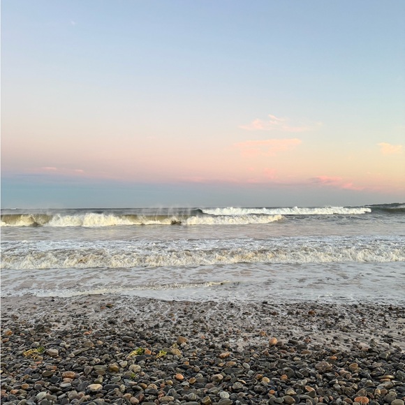 Meet your Posher, Roseanna - Picture 1 of 1